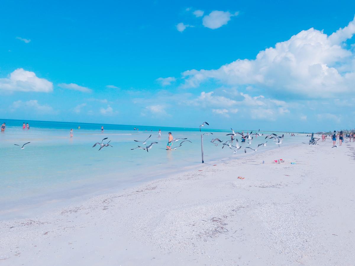 Hostel La Isla Holbox 外观 照片