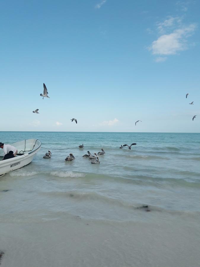 Hostel La Isla Holbox 外观 照片